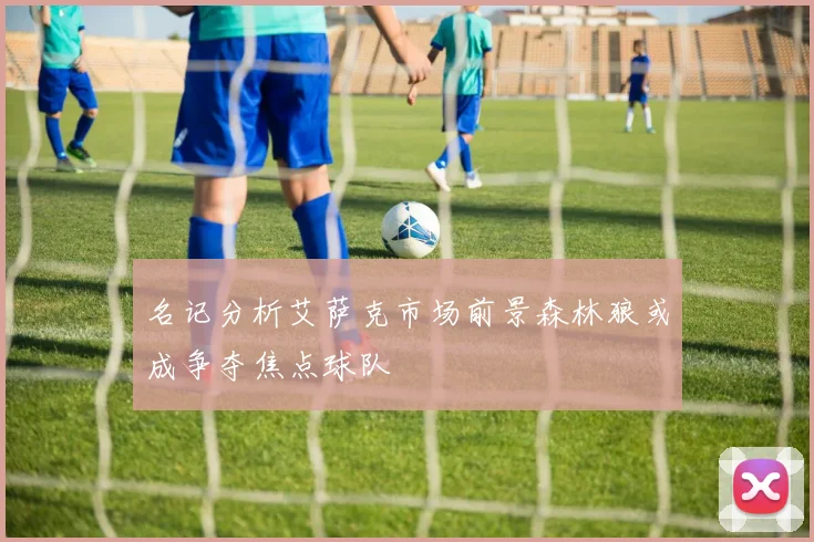 名记分析艾萨克市场前景森林狼或成争夺焦点球队